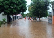 Banjir Jember, satu orang dilaporkan meninggal dunia