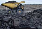 Pembukaan kembali keran ekspor batu bara, Pengamat: Solusi jangka pendek