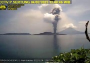 Gunung Anak Krakatau erupsi 9 kali, masyarakat diharapkan tidak di radius 2 km