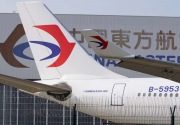 Kecelakaan pesawat China, sisa-sisa manusia ditemukan di tengah puing