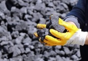 Dampak pelarangan ekspor, produksi batu bara kuartal I rendah