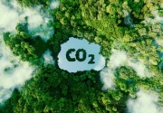 Fakta-fakta soal jejak karbon yang perlu diketahui