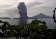 Ihwal potensi tsunami erupsi Gunung Anak Krakatau, ini kata pakar