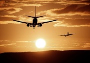 Tabrak burung, pesawat Lion Air kembali ke bandara