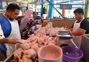 Harga melonjak dan pasokan langka, Malaysia hentikan ekspor ayam 