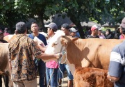 Cegah penyakit kuku dan mulut, Pemkab Klaten perpanjang tutup pasar hewan hingga 28 Juni