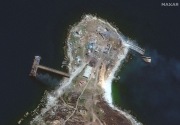  Pakar AS: Rusia mundur dari Pulau Ular karena takut senjata bantuan NATO 