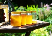 Jangan terjebak 3 mitos keaslian madu yang sering beredar