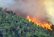 Antisipasi kebakaran lahan, Pemkab Kukar bentuk Kelompok Tani Peduli Api