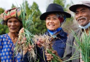 Food Estate, realisasikan kemandirian pangan Indonesia
