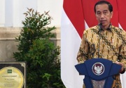 Raih penghargaan dari IRRI, Jokowi: Terima kasih petani