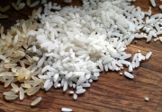 Kolaborasi berbagai pihak bantu RI pertahankan surplus beras