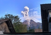 Erupsi efusif lebih dari 1,5 tahun, seperti apa kondisi Gunung Merapi terkini?