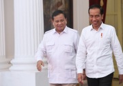 PAN sebut dukungan Jokowi ke Prabowo tak berdampak apapun