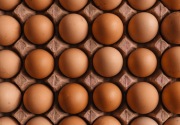 NFA kendalikan harga telur jelang Nataru