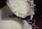 BPS beberkan tantangan pemenuhan stok beras di Indonesia