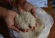 Polemik kenaikan harga beras, Kepala BPS: Gak usah worry