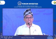 Kabupaten Wakatobi masuk peta peluang investasi 2023, apa kelebihannya?