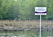 Pertamina targetkan penurunan emisi karbon lewat program reforestasi hutan mangrove