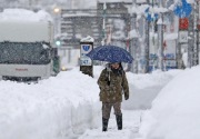 Badai salju di Jepang tahun ini membuat delapan orang tewas