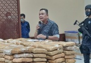 BNN sita 223 kilogram ganja kering dari jaringan Aceh