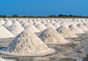 Korupsi impor garam, Kejagung sisir perusahaan penyerap