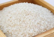 Penjabat Gubernur Banten sebut cadangan beras capai 2.400 ton