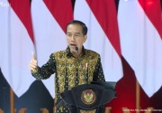 Jokowi: Jangan hanya puas dengan hilirisasi nikel