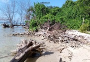 Pulau Pari: Menolak tenggelam diterjang krisis iklim