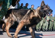 Meksiko memberi penghormatan kepada anjing 'heroik' yang mati di Turki