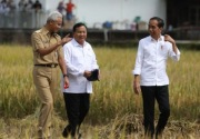 Soal duet Prabowo-Ganjar, ini respons PKB