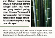 Bambu sebagai sarana mitigasi perubahan iklim