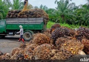 Strategi serapan domestik CPO Indonesia bikin sakit Uni Eropa 