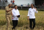 Soal duet Prabowo-Ganjar, kader PDIP diminta manut putusan Ketum Megawati