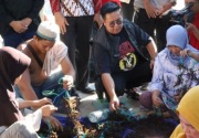 Tingkatkan produksi, pembudi daya di Samboja Kukar terima bibit rumput laut