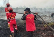 BPBD Riau berhasil padamkan karhutla di Dumai