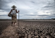 BMKG: Peluang El Nino di Juni ini capai 80%