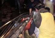 BNPB ungkap pemantauan awal gempa di Jogja, seperti apa?