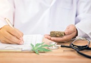 Revisi UU Narkotika, Komisi III DPR dorong legalisasi ganja untuk medis