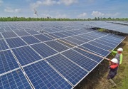 Jokowi segera umumkan pembangunan industri panel surya terintegrasi