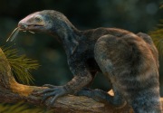 Makhluk hidup 230 juta tahun lalu telah ditemukan di Brasil