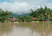 Banjir menggenangi 28 gampong di Aceh Tenggara