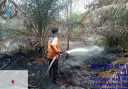 Luas wilayah yang terbakar di Kalsel telah mencapai 1.978 hektare