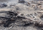Otak dan sisa-sisa kulit ditemukan di pemukiman Zaman Perunggu di Türkiye