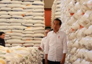 Jokowi tugaskan Bapanas dan Bulog salurkan beras bantuan pangan tahap II 
