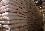 Stok beras yang dikuasai Bulog sebanyak 1,7 juta ton