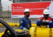 Anggota DPR ingatkan pemerintah penuhi hak masyarakat Bali untuk gas alam