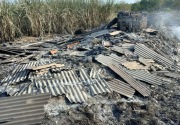 Kebakaran di Cilacap hanguskan pabrik gula dan lahan 20 ha