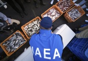 IAEA pantau uji sampel ikan dari air limbah nuklir Fukushima