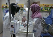 WHO khawatirkan 130 bayi prematur di Gaza 